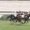 【競馬】新馬戦はとこを見ればいいか教えてくれ