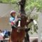【競馬】トーセンバジル、カシアス、アドマイヤロブソン、ハッピーモーメント、ダノンロマンが豪移籍