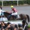 【競馬】ルメールの使い分けは批判されるのにオジュウチョウサンがアル共に出ないのはダンマリな競馬ヲタｗｗｗ