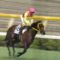 【競馬】武豊が選ぶ最強のダービー馬ランキング、サニーブライアン1位に挙げてるんだが