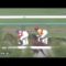 【競馬】[動画] ダノンフォワード、レースやめて差し返す【オルフェ】