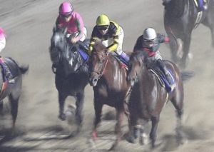 【競馬/JDD】ドンフォルティス武豊なんで伸びないんや 【競馬/JDD】ドンフォルティス武豊なんで伸びないんや