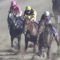 【競馬/JDD】ドンフォルティス武豊なんで伸びないんや