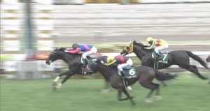 【競馬/ラジオNIKKEI賞】フィエールマンのほうが強いと言われるが、トップハンデ勝ったメイショウテッコン評価されてよくね? 【競馬/ラジオNIKKEI賞】フィエールマンのほうが強いと言われるが、トップハンデ勝ったメイショウテッコン評価されてよくね?