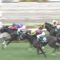 【競馬/ラジオNIKKEI賞】フィエールマンのほうが強いと言われるが、トップハンデ勝ったメイショウテッコン評価されてよくね？