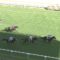 【競馬/アイビスSD】ダイメイプリンセス強すぎワロタｗｗｗｗｗｗｗｗ