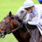 【競馬】武豊騎乗ジェニアルが5頭立ての仏G3に出走した結果！！【仏ベルトランデュブルイユ賞】