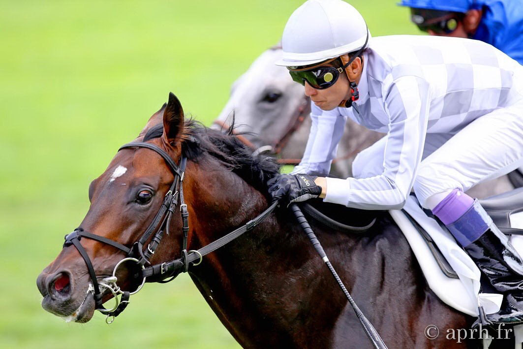 【競馬】[画像] フランス重賞制したジェニアルと武豊のカッコイイ写真見ようぜ