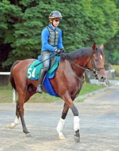 【競馬/2歳新馬】サンデーRの総大将！怪物プランドラーが２２日中京芝２０００mでついにデビュー！