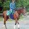 【競馬】それではディープ産駒2歳の衝撃をご覧ください