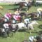 【競馬/CBC賞】ペイシャフェリシタ三浦皇成まじで下手すぎ超むかつく