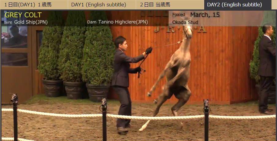 【競馬】[画像] ゴールドシップ産駒、セリ会場で大暴れ