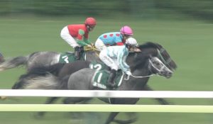 【競馬】プラチナムバレット 殿負け→落馬中止→殿負け→殿負け