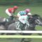 【競馬】プラチナムバレット 殿負け→落馬中止→殿負け→殿負け