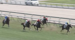 【競馬】2歳世代サンデーR1番馬プランドラー（一口375万）新馬５着