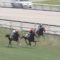 【競馬】2歳世代サンデーR1番馬プランドラー（一口375万）新馬５着