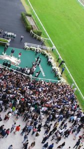【競馬】[画像] オジュウチョウサンの表彰式に群がる人だかり凄すぎワロタｗｗｗｗｗｗｗｗｗ