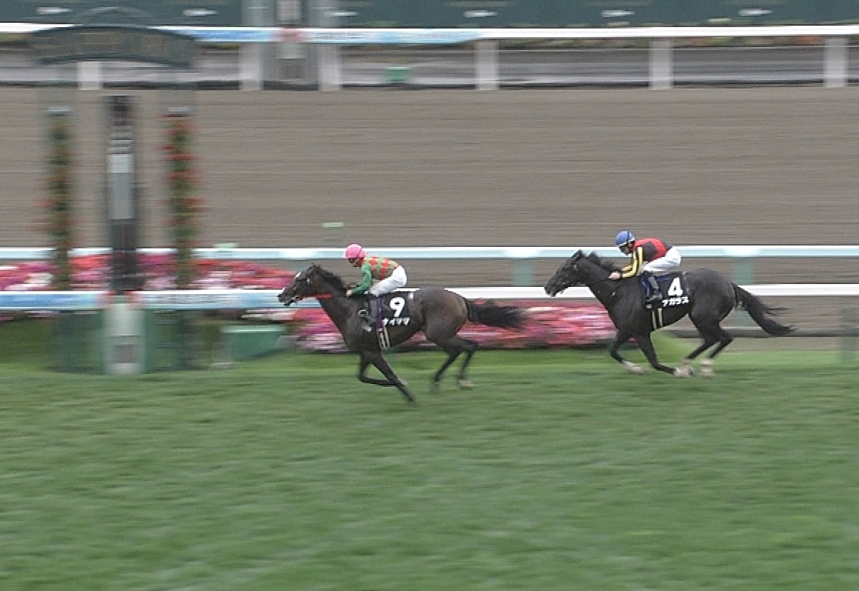 競馬 札幌2歳s 岡田総帥 ナイママは基礎的な才能が違う うま速 競馬まとめ 競馬 札幌2歳s 岡田総帥 ナイママは基礎的な才能が違う うま速 競馬まとめ