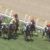 【競馬/関屋記念】ヤングマンパワーの手ごたえにびびったやつｗｗｗｗｗｗｗｗｗｗ