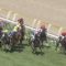 【競馬/関屋記念】ヤングマンパワーの手ごたえにびびったやつｗｗｗｗｗｗｗｗｗｗ