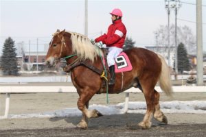 【競馬】エポカドーロ放牧で激太りwww