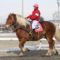 【競馬】エポカドーロ放牧で激太りwww