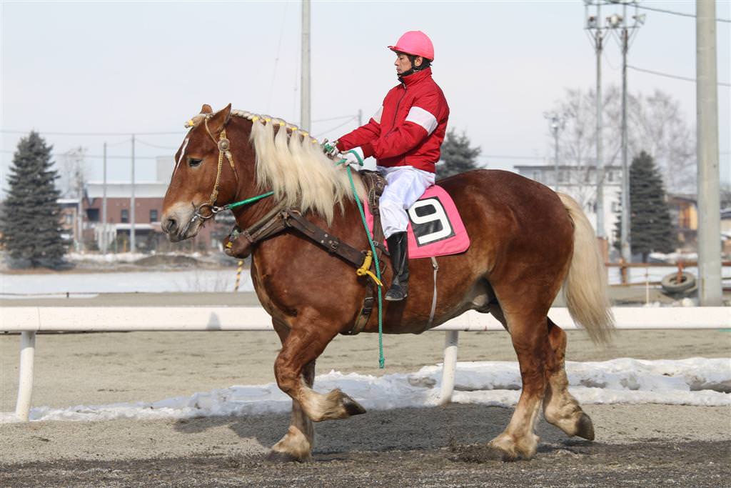 【競馬】エポカドーロ放牧で激太りwww