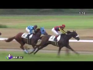 【競馬/2歳新馬】ジェンティル全妹・ドナアトラエンテ微妙ｗｗｗｗｗｗｗｗｗｗｗｗｗｗｗｗｗｗ