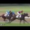 【競馬/2歳新馬】ジェンティル全妹・ドナアトラエンテ微妙ｗｗｗｗｗｗｗｗｗｗｗｗｗｗｗｗｗｗ