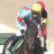 【競馬】プリモシーン 引き続き北村宏司騎手とのコンビで秋華賞へ直行