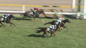 【競馬/関屋記念】戸崎リターンプリモシーン強すぎワロタｗｗｗｗｗ