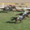 【競馬/関屋記念】ディープっ仔ワンスースリー！！