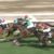 【競馬】モレイラって結局馬質だよね、はっきり言ってルメールデムーロ戸崎の方がうまい 【競馬】モレイラって結局馬質だよね、はっきり言ってルメールデムーロ戸崎の方がうまい