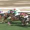 【競馬】メインレース勝てないモレイラｗｗｗｗｗｗｗｗｗｗ