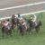 【競馬/札幌記念】ミッキースワローとはなんだったのか