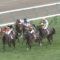 【競馬・AJCC】ミッキースワロー横山典弘のクソ騎乗ｗｗｗｗｗｗｗｗｗｗｗｗｗｗｗｗｗｗ