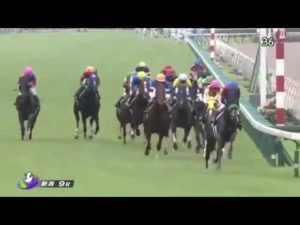 【競馬】内田博幸、戸崎圭太　マジで仲が悪かった