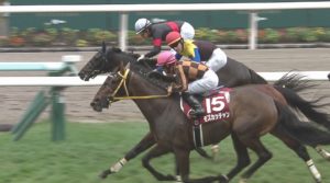 【競馬】モズカッチャン、１年１０カ月ぶりに和田とコンビ復活　金鯱賞から大阪杯へ
