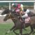 【競馬/有馬記念】モズカッチャンに◎打つ奴ｗｗｗｗｗｗｗｗｗｗ