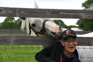 【競馬】[画像] 今浪厩務員がビッグレッドファームでゴールドシップに再開した結果ｗｗｗｗｗｗｗｗｗｗ