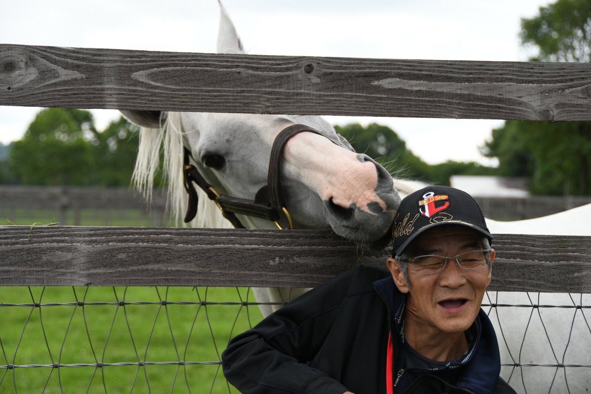 【競馬】[画像] 今浪厩務員がビッグレッドファームでゴールドシップに再開した結果ｗｗｗｗｗｗｗｗｗｗ