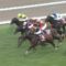 【競馬】マカヒキは岩田康で札幌記念へ。←お前ら買う？