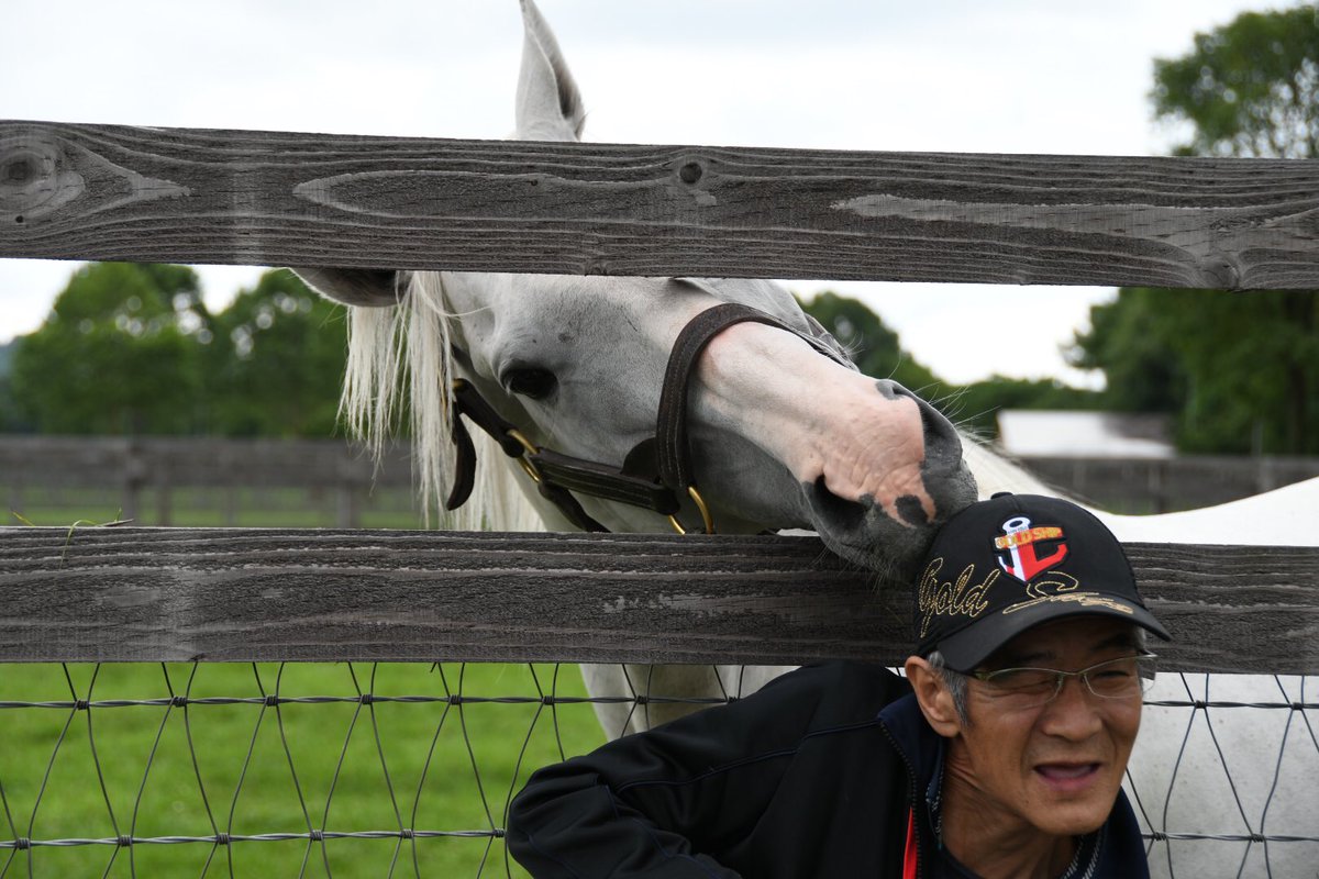 【競馬】[画像] 今浪厩務員がビッグレッドファームでゴールドシップに再開した結果ｗｗｗｗｗｗｗｗｗｗ