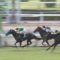 【競馬】京都１Ｒと京都３Ｒで本物の馬主情報コロガシ