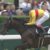 【競馬】コパノキッキング武豊との新コンビ結成