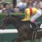 【競馬】コパノキッキングの初戦、なんで１０番人気だったの？