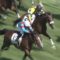 【競馬】オルフェーヴル　2歳リーディング　22頭出走　勝利頭数2頭　AEI0.72　←　これ