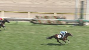 【競馬】オルフェーヴル産駒最後の大物ミスティックグロウ爆誕!上がり3F驚異の32秒4 【競馬】オルフェーヴル産駒最後の大物ミスティックグロウ爆誕!上がり3F驚異の32秒4