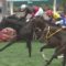 【競馬/天皇賞秋】天皇賞秋もスローの瞬発力勝負だろ？だったらディープ産駒だよな？