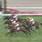 【競馬/札幌記念】サングレーザー福永上手すぎワロタｗｗｗｗｗｗｗｗｗｗｗｗｗｗｗw